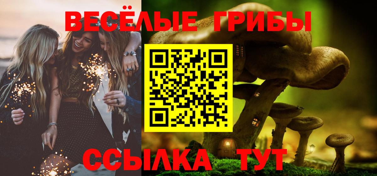 Галлюциногенные грибы Cubensis Ковров