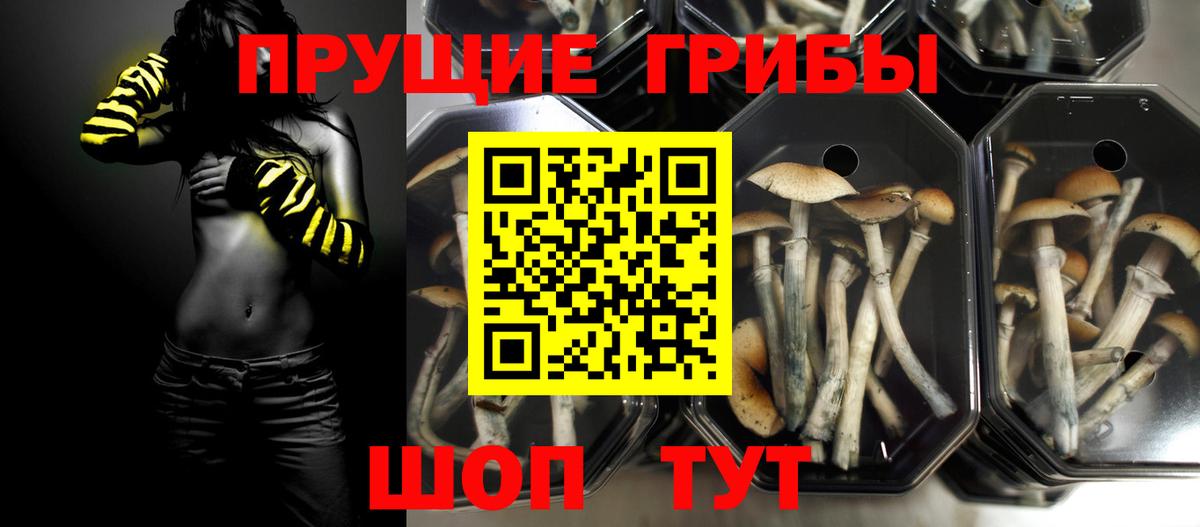 Ковров  Галлюциногенные грибы ЛСД  Вход с VPN 